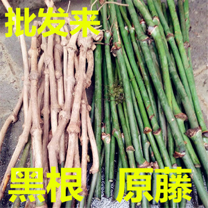 黑藤手镯鸡血藤