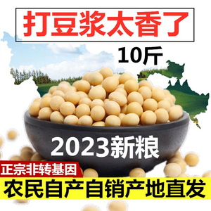 2023东北黄豆农家土黄豆高蛋白精品大豆10斤装精选特级打豆浆专用