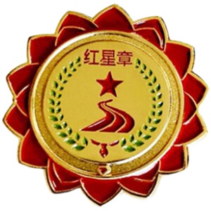 红星章 奖章 上海一年级红星章 小学生少先队红旗章 火炬章徽章
