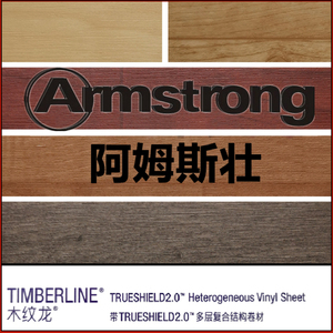 阿姆斯壮塑胶地板家用