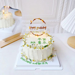 烘焙蛋糕装饰插件毛球拱门花环藤条绿叶带灯花环生日快乐插牌摆件