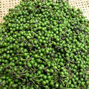 四川特产2022年新鲜野生木姜子山胡椒辣椒木酱子调味品顺丰包邮