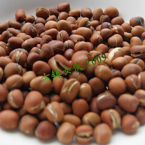 绍兴爆爆豆蚕豆胡豆椒盐味休闲零食美食五斤包邮