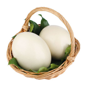 新鲜鸵鸟蛋单个2斤以上撞蛋大蛋食用鸸鹋蛋可食用鲜蛋过节送礼