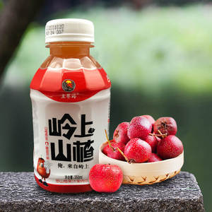 bing4guai淘宝商用正品家用果汁喝的冠芳山楂树下无添加蔗糖开味