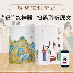 国馆唐风宋雅钢笔字帖 王汉宗硬笔行书唐诗宋词初学者繁体速成 国学