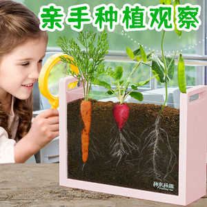 儿童种植小盆栽迷你绿植种花植物开心农场朋友幼儿菜园子蔬菜创意
