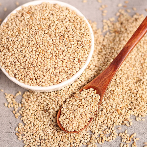 柏兰烘烤熟即食白芝麻无染色熟芝麻即食白芝麻粒做阿胶辅料500g