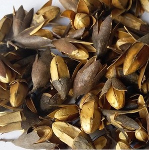 中药材 香铃子 香椿子 响铃子 椿树子 香椿花500克