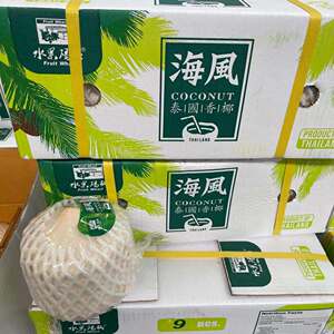 泰国海风水果码头香椰椰青 原箱9个新鲜椰子天然饮料送开椰器吸管