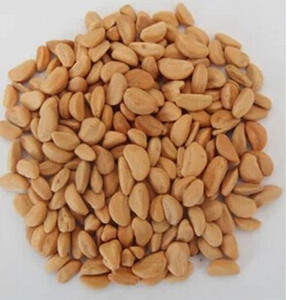 包邮山楂子4斤2000克山楂籽山楂核山里红籽山楂核枕头原料中药材