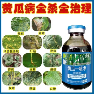 黄瓜病菌清 一喷净黄瓜用生物菌剂 角斑黄点霜莓碳疽流胶病白粉