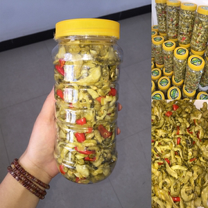 18元1瓶包邮 广西特产信都地瓜酸 农家下饭菜手工黄瓜酸 非瓜皮酸