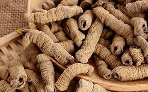 包邮 中药材巴戟天巴戟干货巴戟肉500g 道地药材男性泡酒