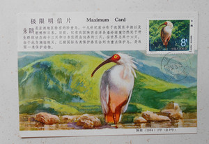 T94朱鹮邮票3-1极限片陕西省邮票公司官片保存完好