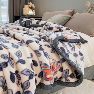 拉舍尔毛毯冬季加厚保暖沙发午睡盖毯子单人宿舍学生法兰绒毯被子