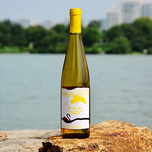 新疆天山南麓佰年庄雷司令甜白葡萄酒干白