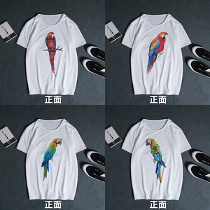 000人付款淘宝鹦鹉鸟金刚动物印花图案男女短袖t恤夏衣服装小众周边薄