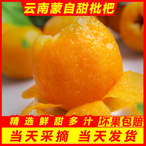 云南特产水果蒙自