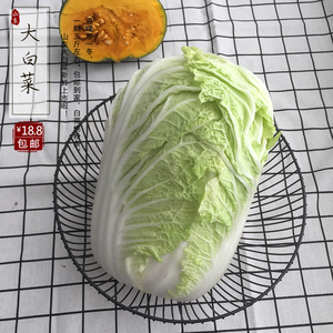 【5斤装】山东青岛特产正宗胶白胶州三里河胶州大白菜新鲜蔬菜