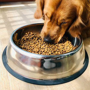 狗碗防打翻狗盆大型犬狗狗碗食盆宠物碗狗食盆狗狗饭盆狗粮碗金毛