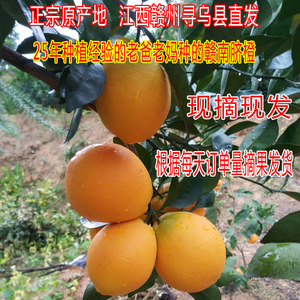 赣南脐橙20斤中大果橙子寻乌新鲜水果农家现摘现发皮薄江西赣州10