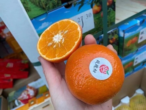 玫瑰柑从化柑橘甜沃柑时令新鲜水果橘子柑10斤柑橘当季沃柑包邮