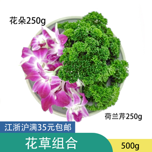 荷兰芹花朵组合 火锅日料刺身冷盘装饰花草 酒店私房菜冷菜摆盘花