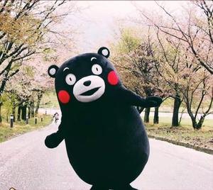 上海卡通服出租龙猫人偶行走可脱玩偶服比卡丘熊本熊人偶服出租赁