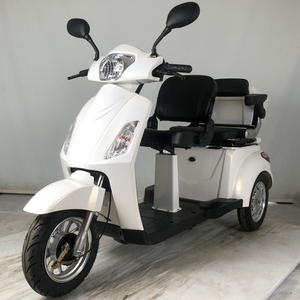 绿江南品牌双人三轮车电动车家用电动车代步车助力车休闲电瓶车