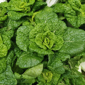 黄心菜大别山六安霍山农家自种黄心乌菜新鲜菊花菜蔬菜现采500g