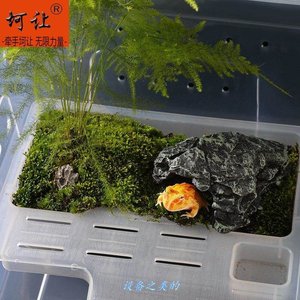螃蟹宠物养殖盒盒子透明透气爬行动物饲养箱塑料鱼缸仿玻璃乌.