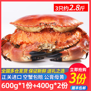 新货新鲜面包蟹英国大螃蟹鲜活熟冻海鲜特大海蟹黄金蟹超大帝王蟹