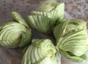 新鲜蔬菜 大芥菜 芥球 包心芥菜带箱2斤.