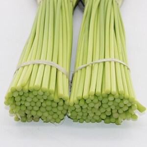 河南鲜嫩蒜薹短蒜苔新鲜发货3斤包邮农家自种新鲜蔬菜蒜苔