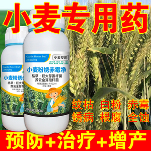 小麦病全治小麦杀菌剂锈病纹枯病白粉病黑穗病全蚀病根腐病专用药