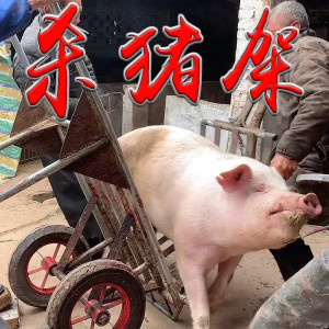 杀猪车杀猪设备固定架子方便工具大小猪专用多功能移动式羊杀猪凳