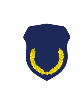 朋友小小消防员奖章纪念章 消防救援小卫士勋章胸章徽章定制8人付款1