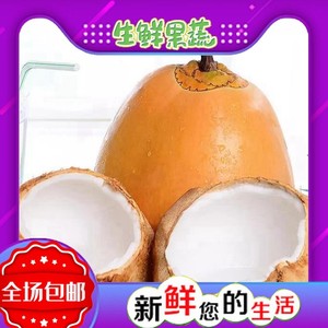 海南金椰子三亚特产新鲜水果黄金红椰九个装包邮现摘带皮送开椰器