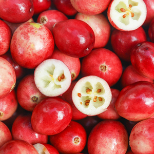 蔓越莓鲜果新鲜