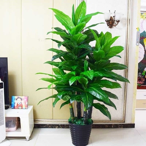 假绿植状元树包棕大叶绿萝大型落地盆栽客厅仿真绿植塑料假花摆设
