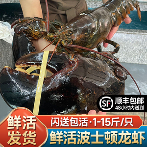 波士顿大龙虾超特大15斤鲜活海鲜水产10斤波龙奥龙加拿大澳洲龙虾