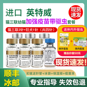 荷兰英特威猫三联3联猫疫苗小猫幼猫3针加1狂犬猫预防针一套自打