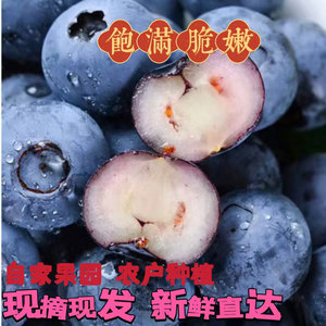 新鲜蓝莓果颗颗爆汁农家自种现摘现发当季水果脆甜可口超大蓝梅果