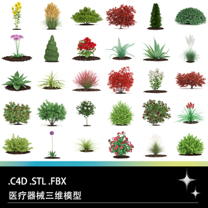 C4D FBX STL植物花卉向日葵兰草芦荟红枫蒲苇火炬花月季模型素材