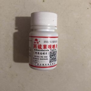 兽药兽用禽药丙硫苯咪唑片伊维菌素片丙硫苯咪唑线虫100片