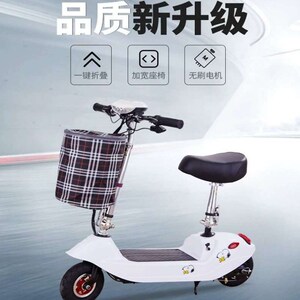 成人小轮电动自行车