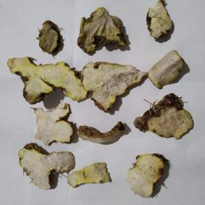 贵州省野生黄山药500克包邮黄姜地产中草药材 九子不离母萆薢干品