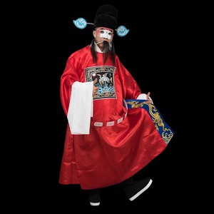 京剧戏曲服装舞台演出古装九品芝麻官县官县令知县朝服小丑官衣