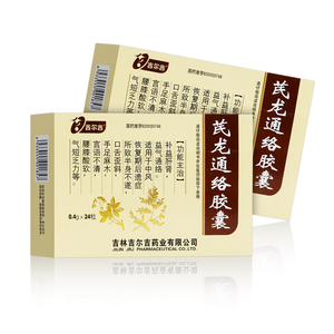 吉尔吉 芪龙通络胶囊 0.